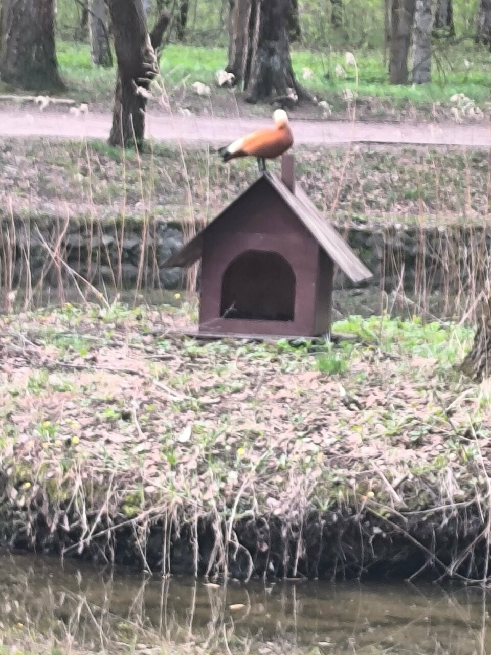 Гостиница Зодиак Москва-108