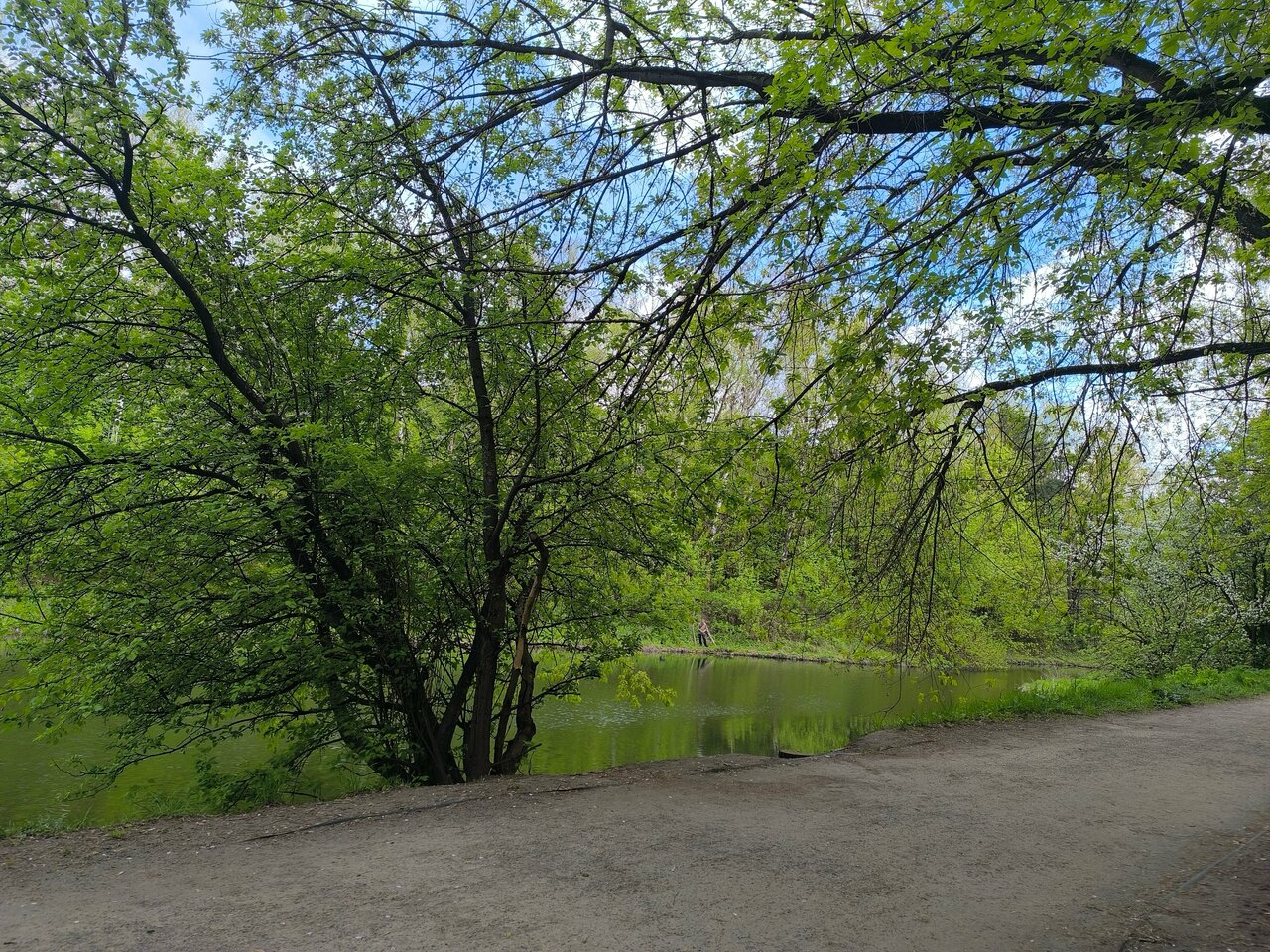 Гостиница Зодиак Москва-115