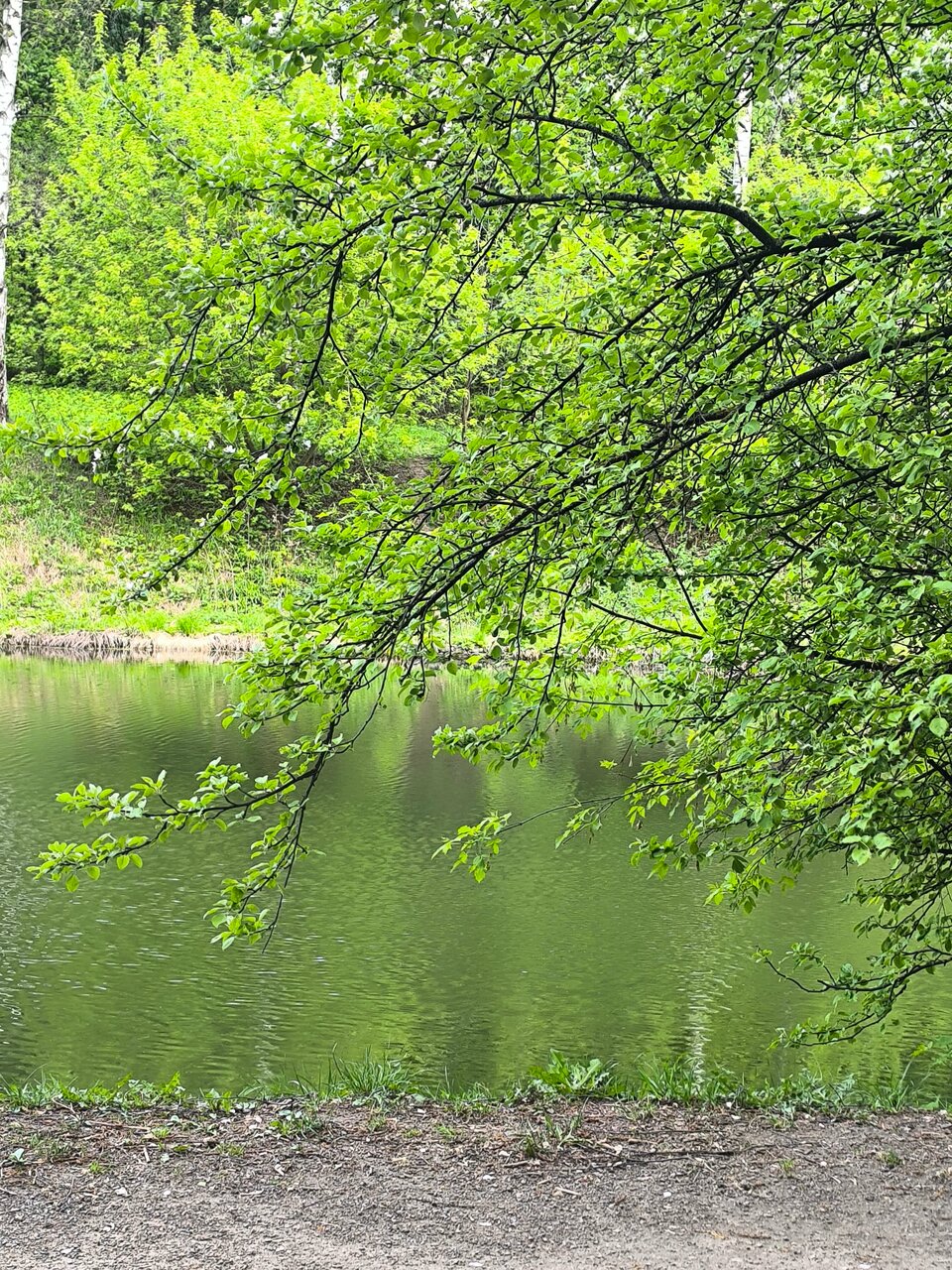 Гостиница Зодиак Москва-107