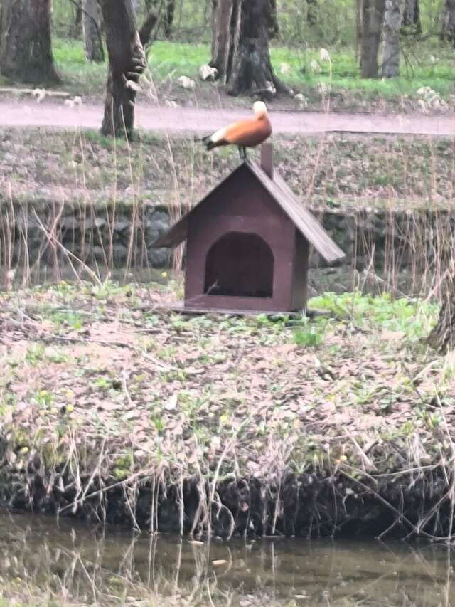 Гостиница Зодиак Москва-107