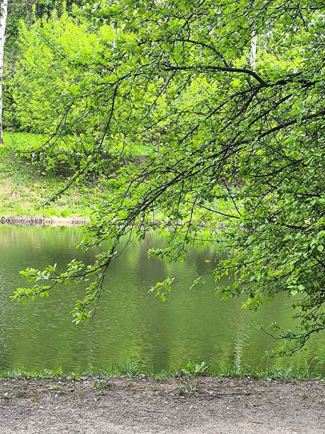 Гостиница Зодиак Москва-106